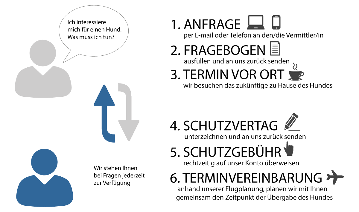 Vermittlungen | ACE Tiere in Not