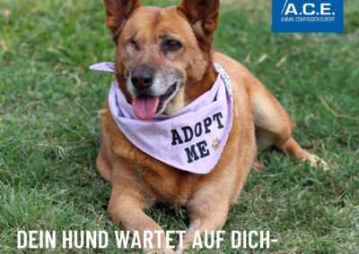 Kennenlernen vor Ort_1